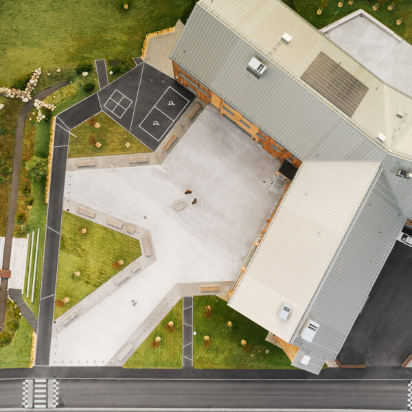 de raka - strukturerade linjerna ovanifrån