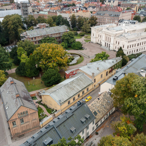 trivsam trädgårdskaraktär