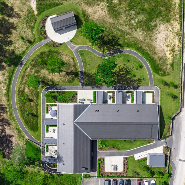 Bjorkbobms från ovan